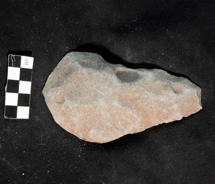THE PALEOLITHIC